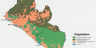 Peta vegetasi peta dari Liberia